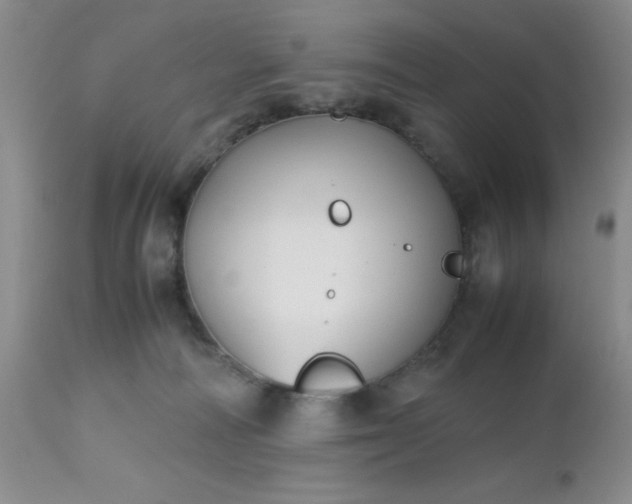X0000112530226200908311430