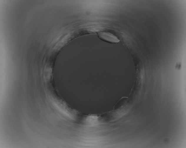 X0000112530227200908311430