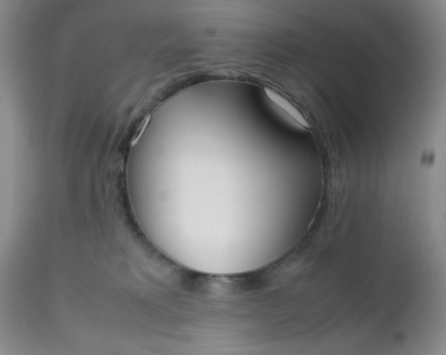 X0000112530229200908311430