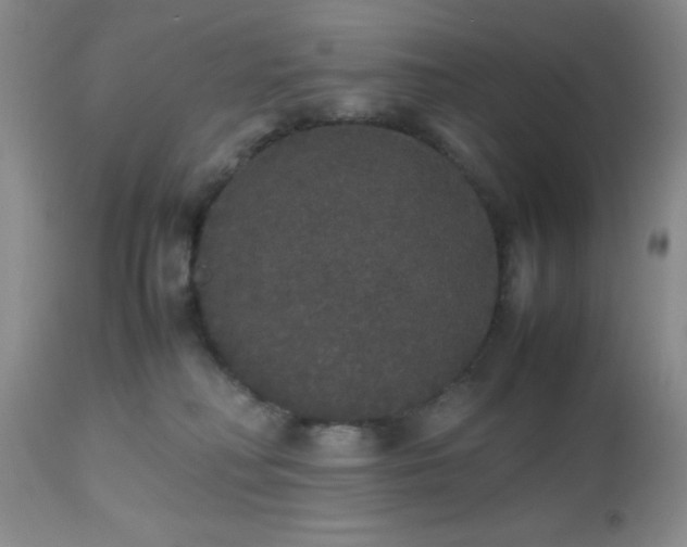 X0000112530230200908311430