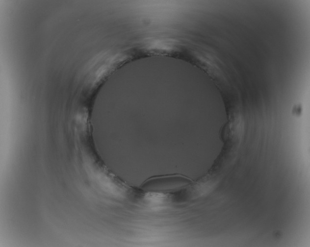X0000112530231200908311430