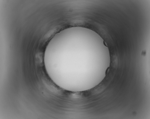 X0000112530232200908311430