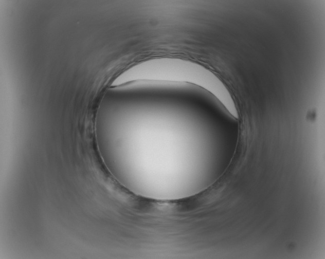 X0000112530233200908311430