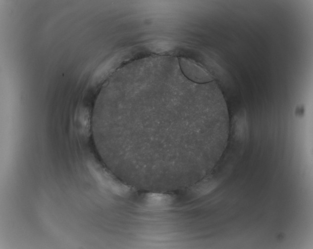 X0000112530234200908311430