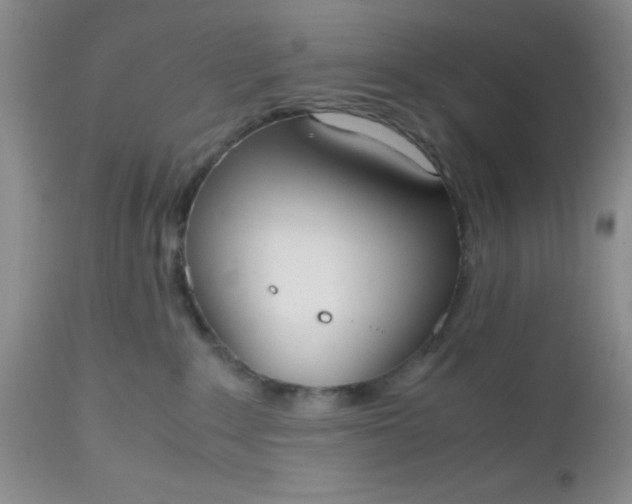 X0000112530235200908311430