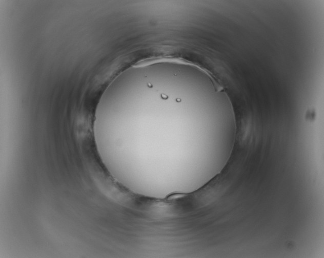X0000112530236200908311430