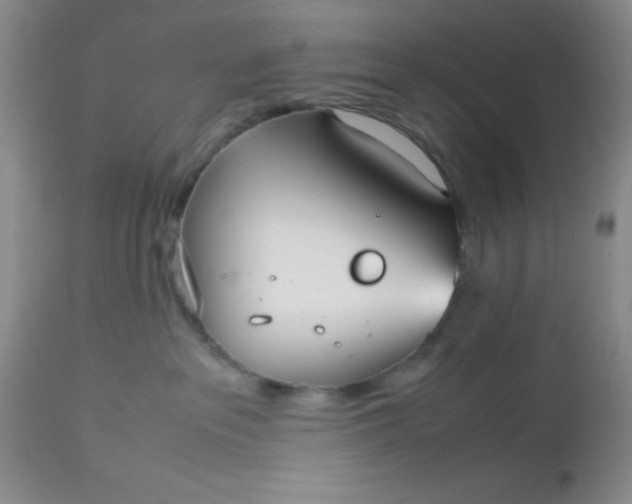 X0000112530237200908311430