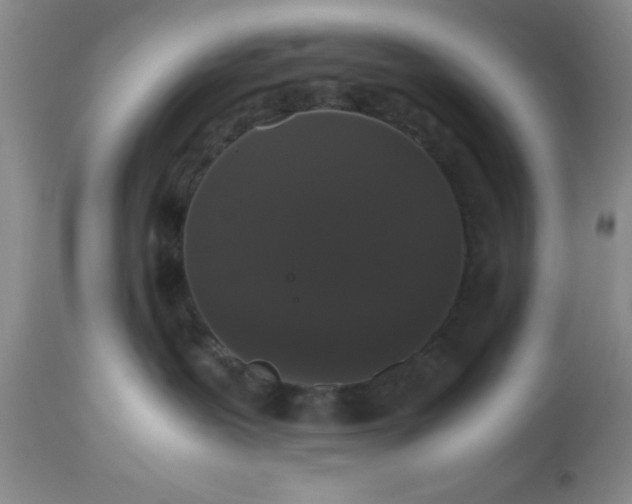 X0000112530239200908311430