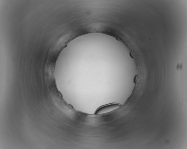 X0000112530240200908311430