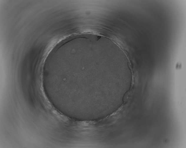 X0000112530241200908311429