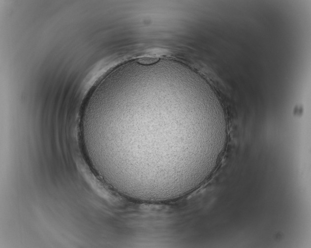 X0000112530242200908311429