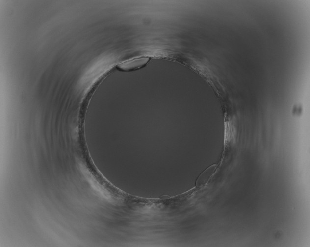X0000112530243200908311429