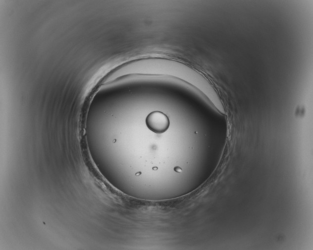 X0000112530244200908311429