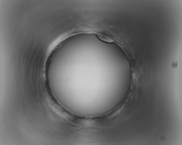 X0000112530246200908311429