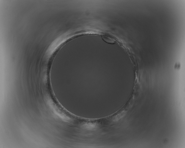 X0000112530247200908311429