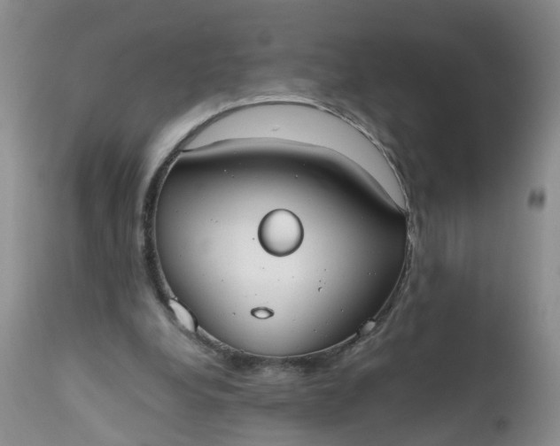 X0000112530248200908311429