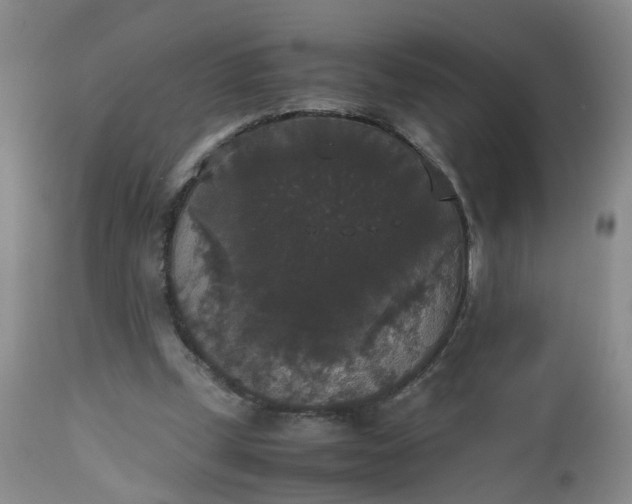 X0000112530249200908311429