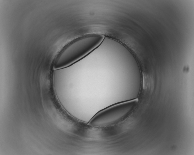X0000112530252200908311429