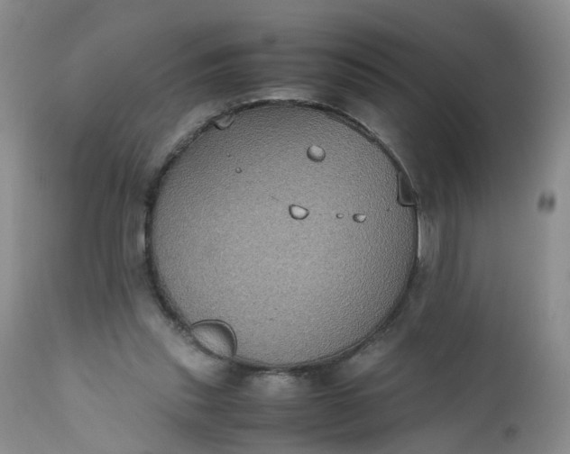 X0000112530253200908311429