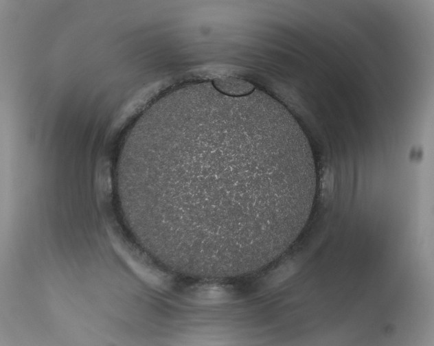 X0000112530254200908311429