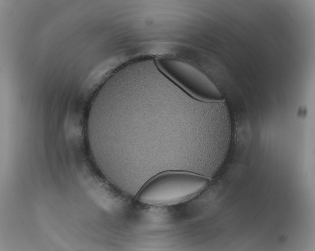X0000112530256200908311429