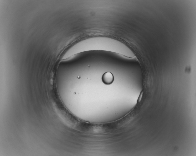 X0000112530264200908311430