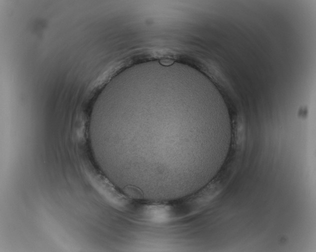 X0000112530266200908311430