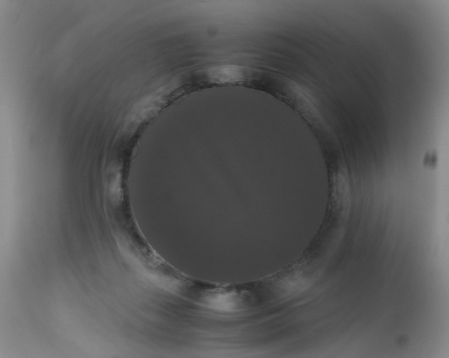 X0000112530267200908311430