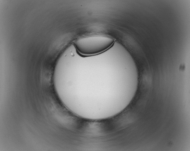 X0000112530268200908311430