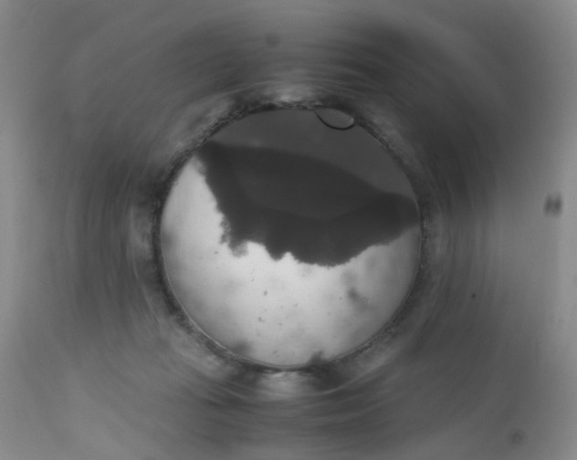X0000112530269200908311430