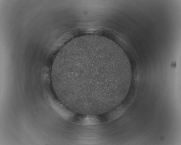 X0000112530270200908311430