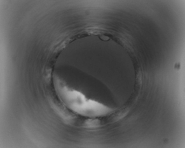 X0000112530271200908311430