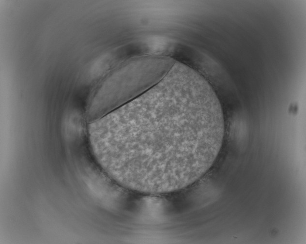 X0000112530272200908311430