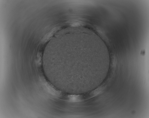 X0000112530273200908311430