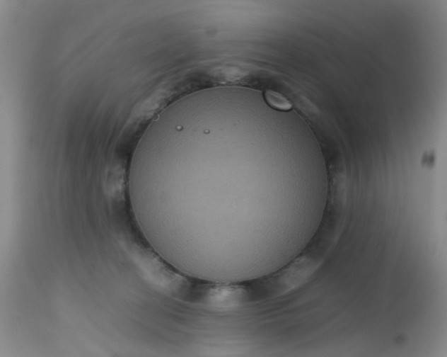 X0000112530274200908311430