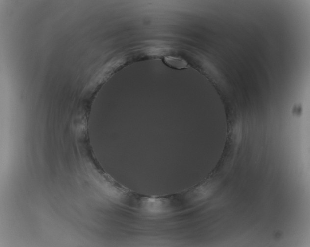X0000112530277200908311430