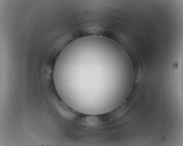 X0000112530279200908311430