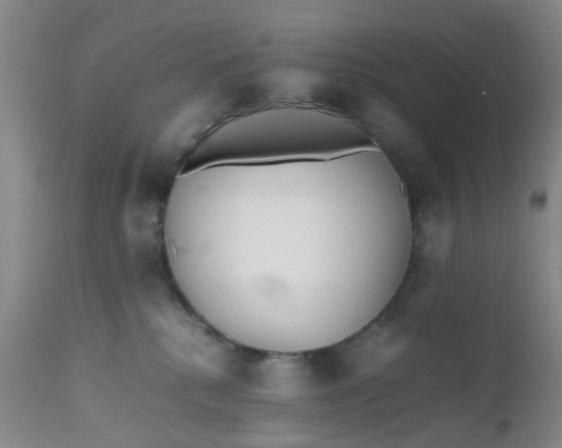 X0000112530280200908311430