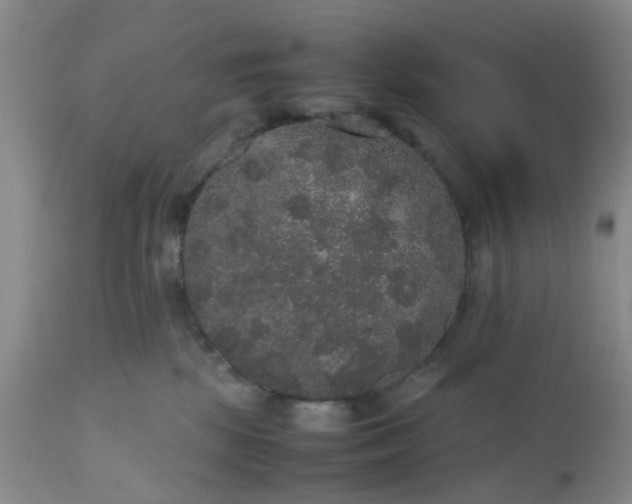 X0000112530281200908311430