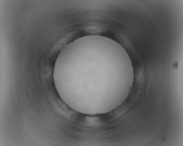 X0000112530283200908311430