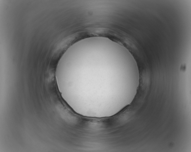 X0000112530284200908311430