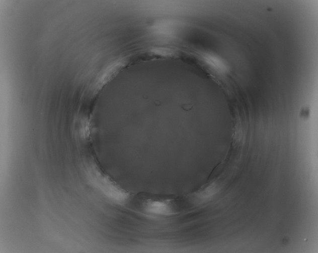 X0000112530285200908311430