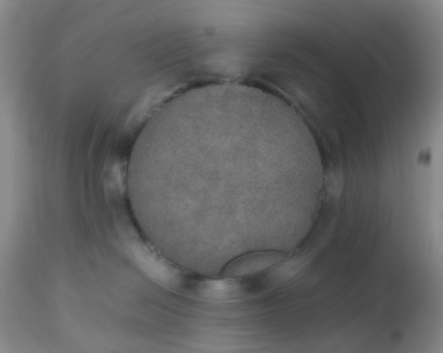 X0000112530286200908311430