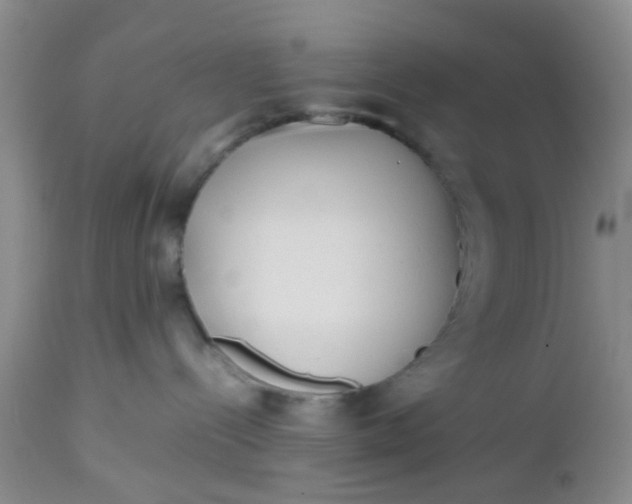 X0000112530288200908311430