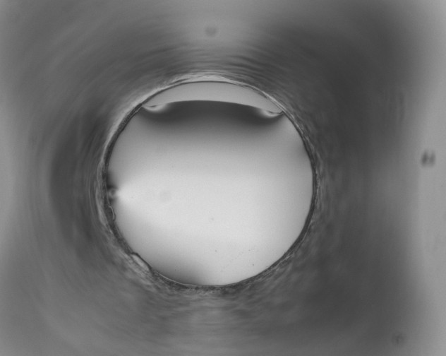 X0000112530289200908311429