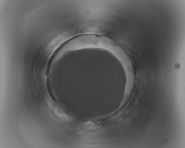 X0000112530290200908311429