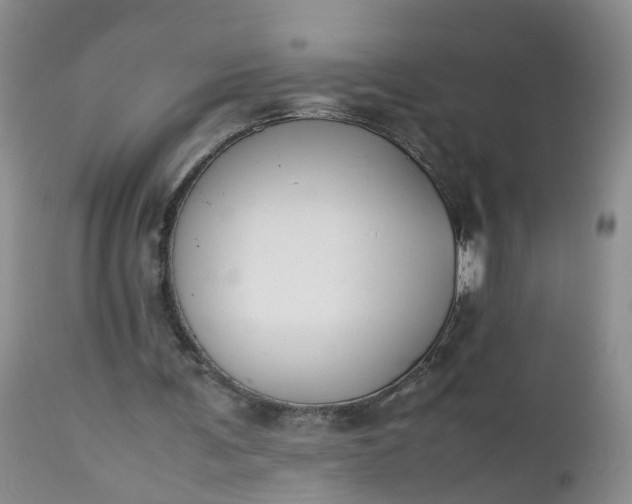 X0000112530291200908311429