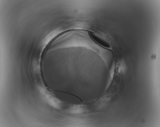 X0000112530292200908311429