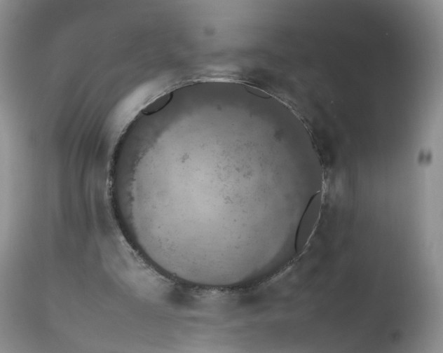 X0000112530293200908311429