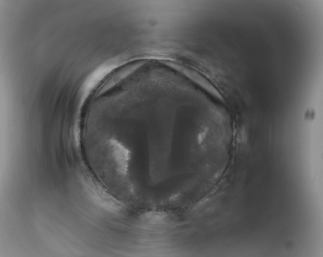 X0000112530294200908311429